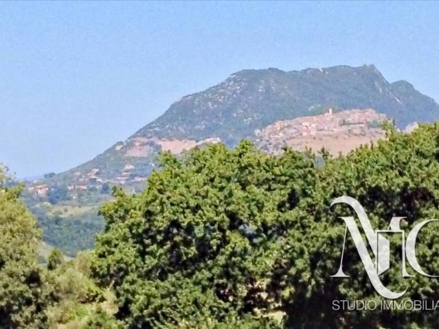 Villa singola in vendita a Civitella San Paolo