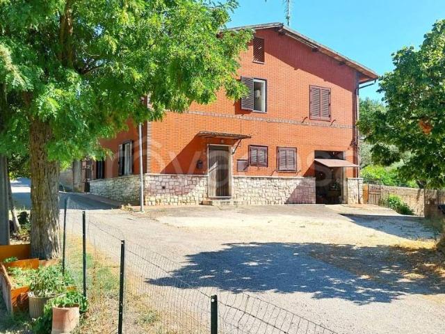 Villa singola in vendita a Collazzone