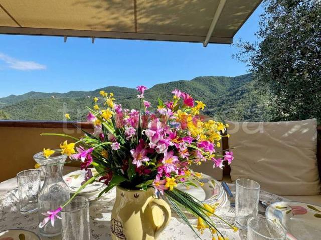 Villa singola in vendita a Garlenda