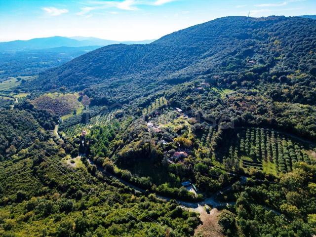 Villa singola in vendita a Gavorrano