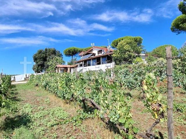 Villa singola in vendita a Genzano di Roma