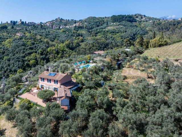 Villa singola in vendita a Massarosa