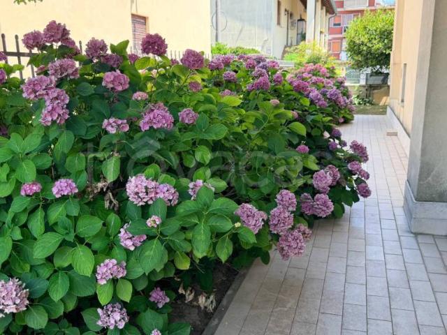 Villa singola in vendita a Mira via Veneto, 17, Oriago