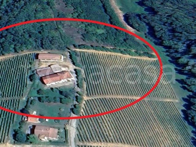 Villa singola in vendita a Montaldo Bormida via Roma