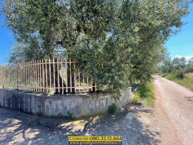 Villa singola in vendita a Molfetta