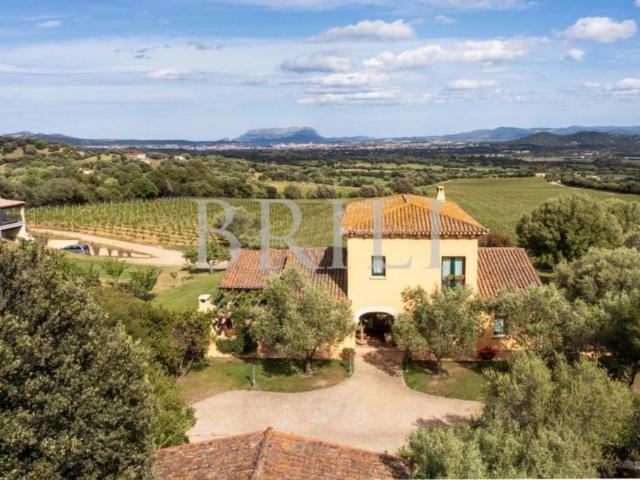 Villa singola in vendita a Olbia