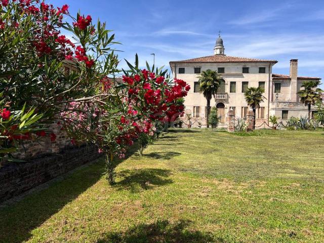 Villa singola in vendita a Paluello, Stra