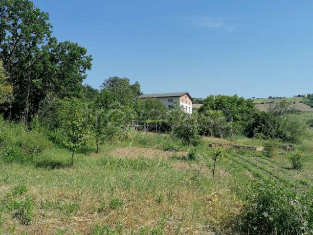 Villa singola in vendita a Polverigi