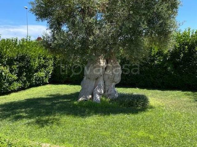 Villa singola in vendita a Polignano a Mare strada Comunale De Nigris