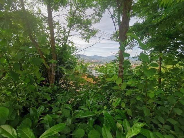 Villa singola in vendita a Potenza