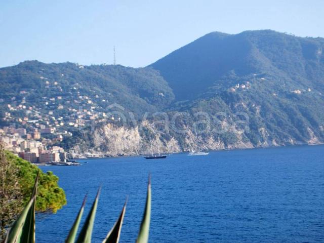 Villa singola in vendita a Recco corso Giuseppe Garibaldi