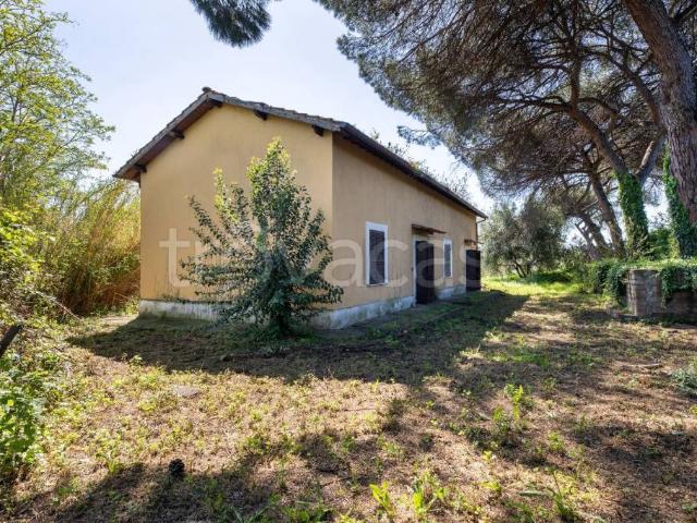 Villa singola in vendita a Roma via feo Belcari, Bufalotta
