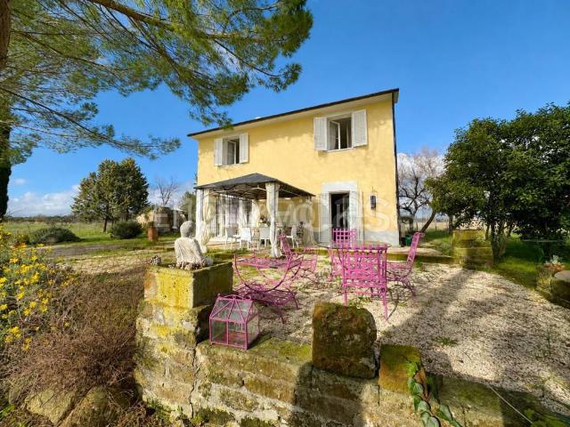 Villa singola in vendita a Scansano