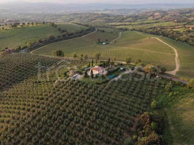 Villa singola in vendita a Scansano