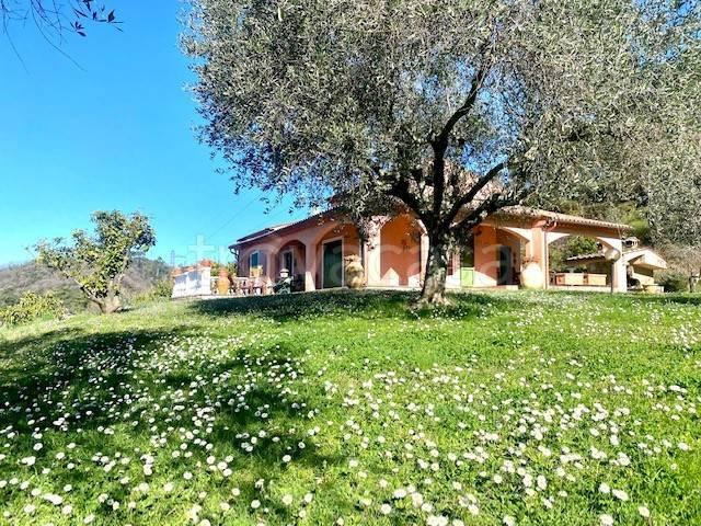 Villa singola in vendita a Sarzana