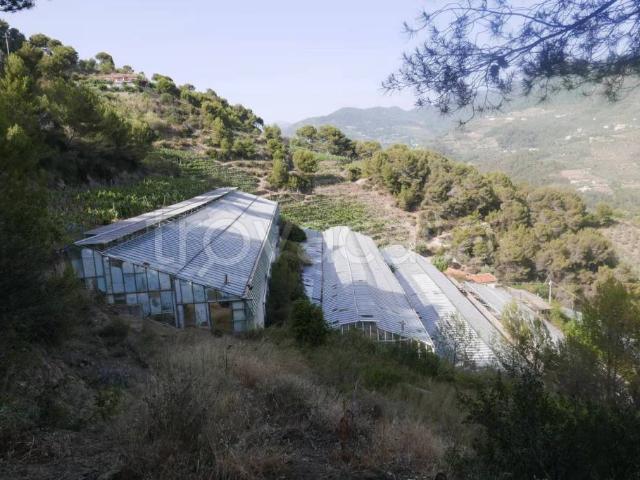 Villa singola in vendita a Soldano