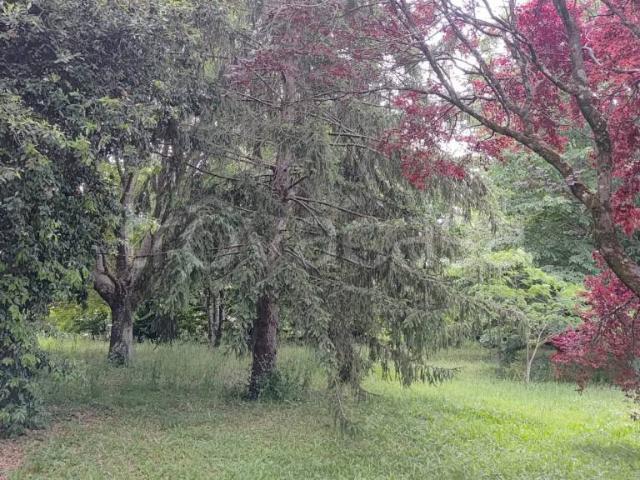 Villa singola in vendita a Sorano