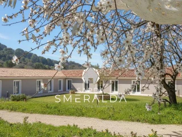 Villa singola in vendita ad Aglientu