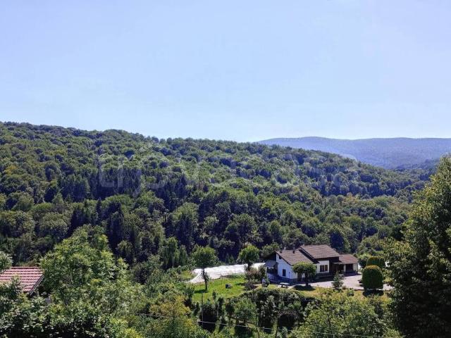 Villa singola in vendita ad Alta Valle Intelvi