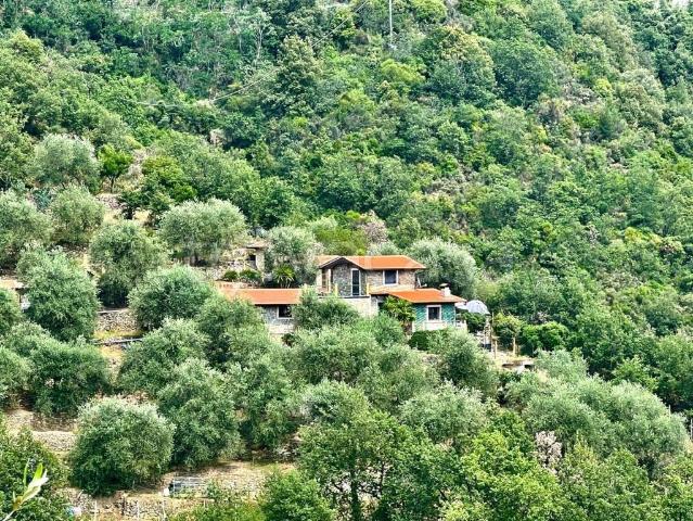 Villa singola in vendita ad Apricale