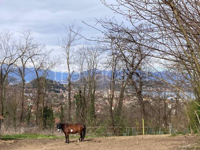 Villa singola in vendita ad Arona
