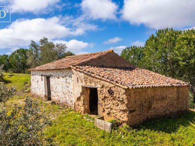 villa Silves Algarve DLS89257431