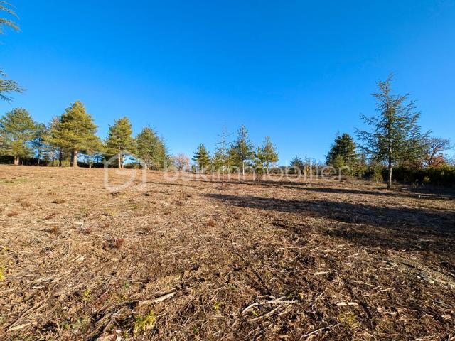 Villanière Vente Terrain 11