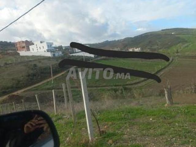 Village Feddane Saidi