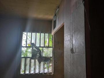 Villahermosa, Tabasco