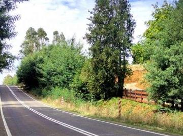 Villarrica a orilla de ruta y cerca del Lago y pueblo 5000.00 m2