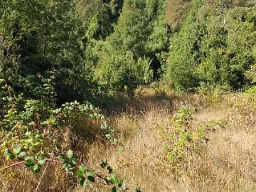 Villarrica parcelas 1 has a13.3 challupen lican