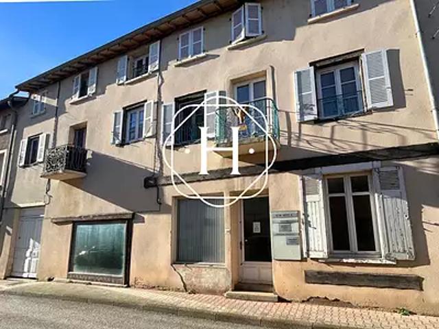 Villars les Dombes 01330 Achat / Vente divers 5 pièces cave