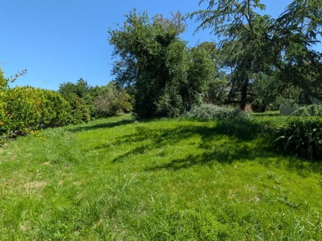 Villate Vente Terrain 31