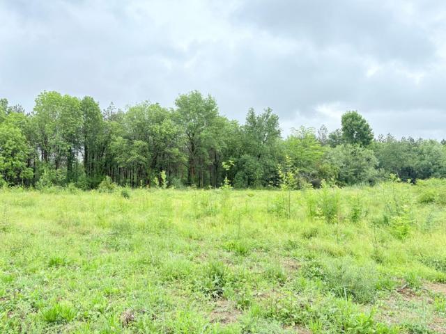 Villaudric Vente Terrain 31