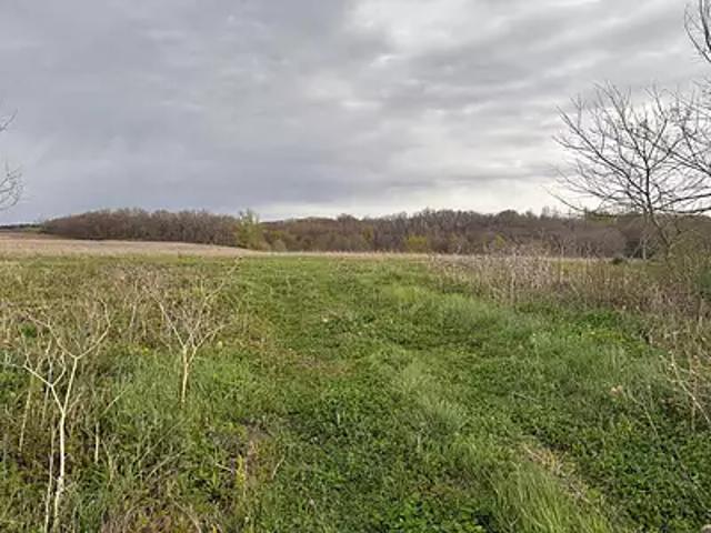 Villaudric 31620 Achat / Vente terrain