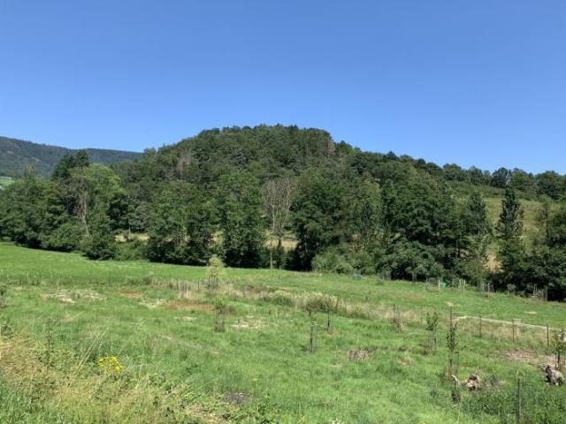 Villé Vente Terrain 67