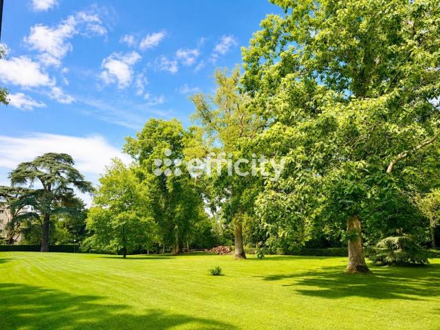 Ville d'Avray Vente Appartement 92