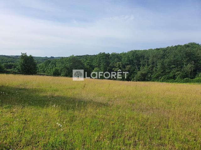 Villemur sur Tarn Vente Terrain 31