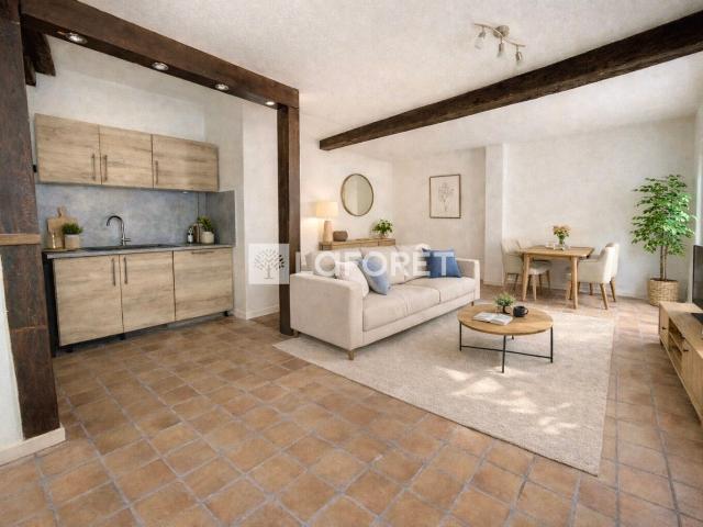 Villemur sur Tarn Vente Maison 31