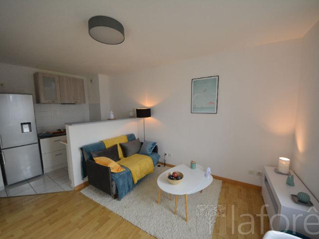 Villemur sur Tarn Location Appartement 31