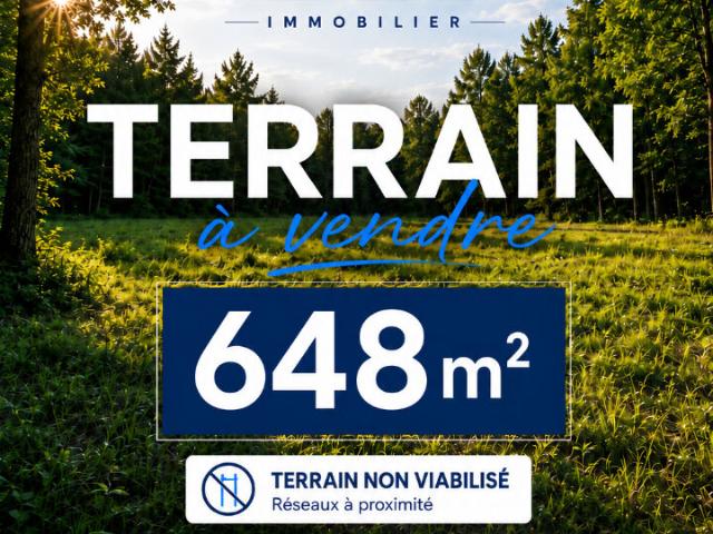 Villemade Vente Terrain 82