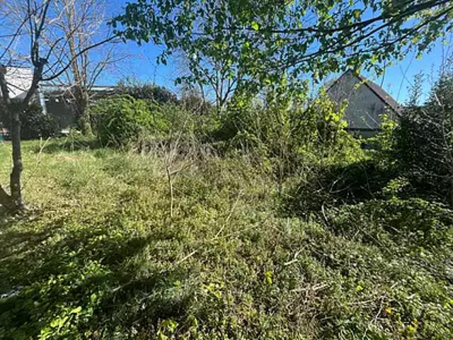 Villemandeur 45700 Achat / Vente terrain