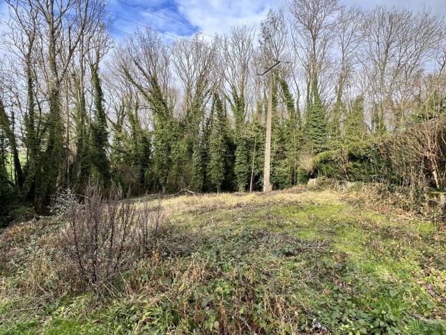 Villemareuil Vente Terrain 77