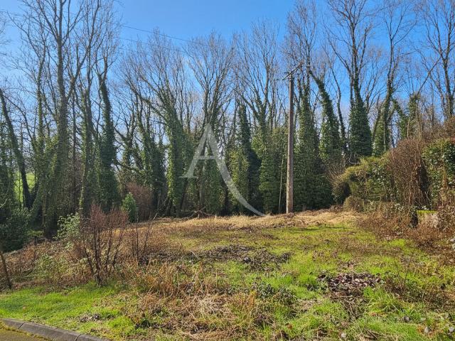 Villemareuil Vente Terrain 77