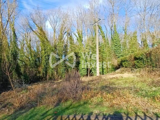 Villemareuil Vente Terrain 77