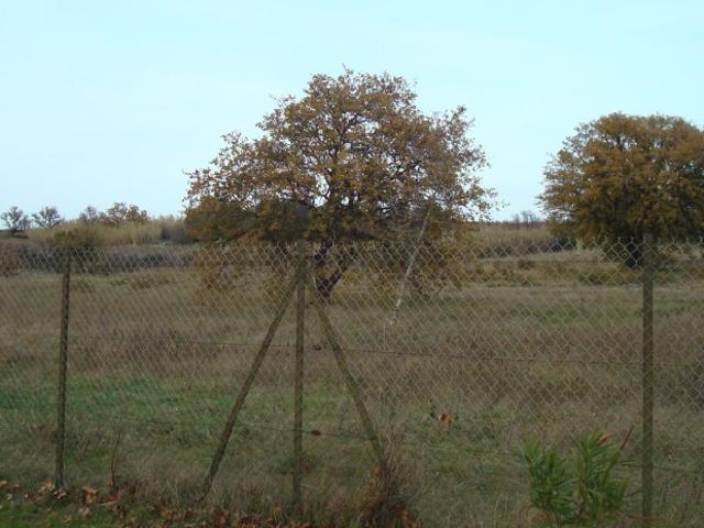 Villemolaque Vente Terrain 66