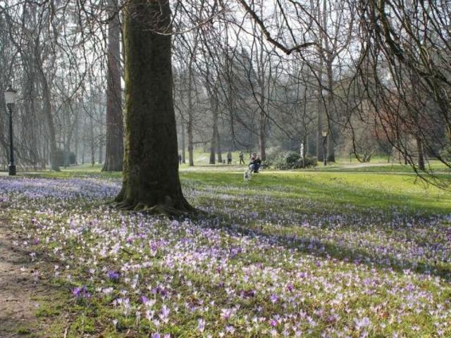 Villenanwesen in Bestlage von Baden Baden