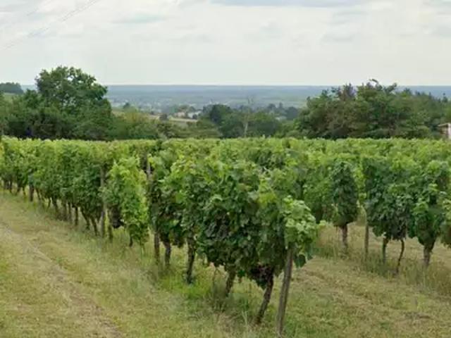 Villenave de Rions 33550 Programme neuf terrain neuf à vendre