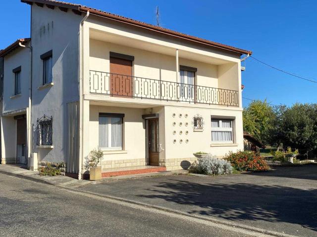 Villeneuve de Marsan Vente Propriété/château 40