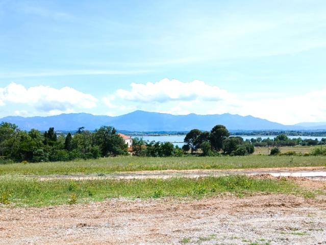 Villeneuve de la Raho Vente Terrain 66